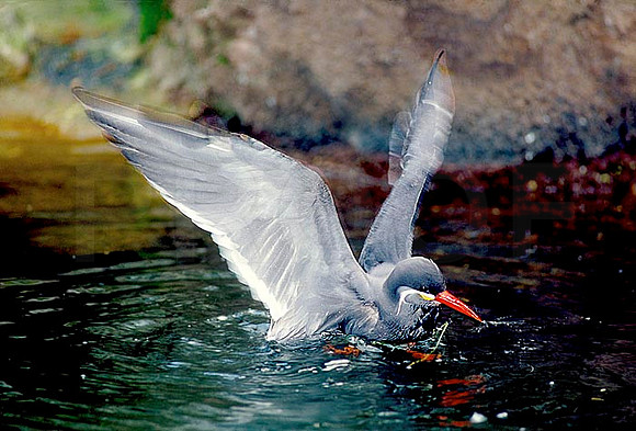 Splashing